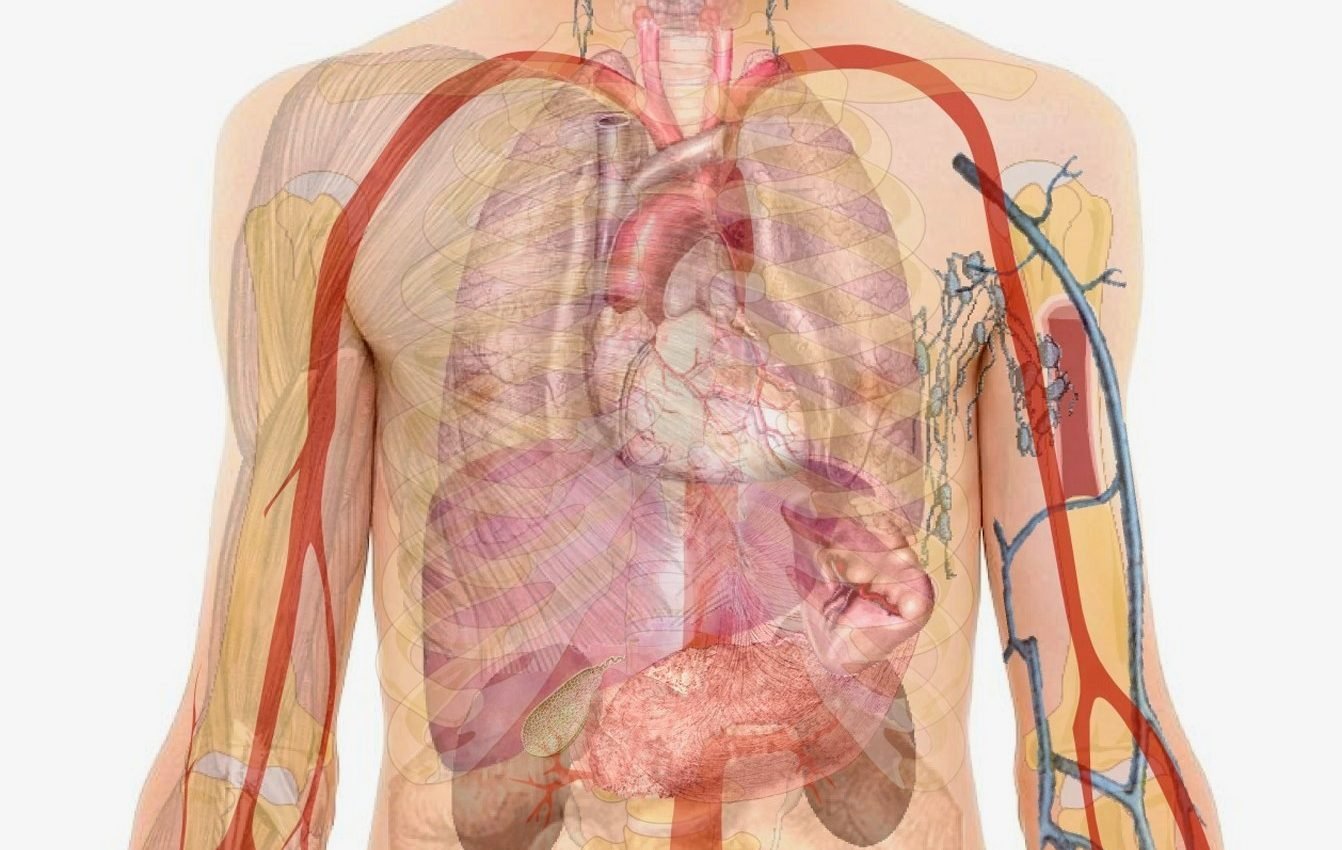 Body tissues use electricity to expel weak cells