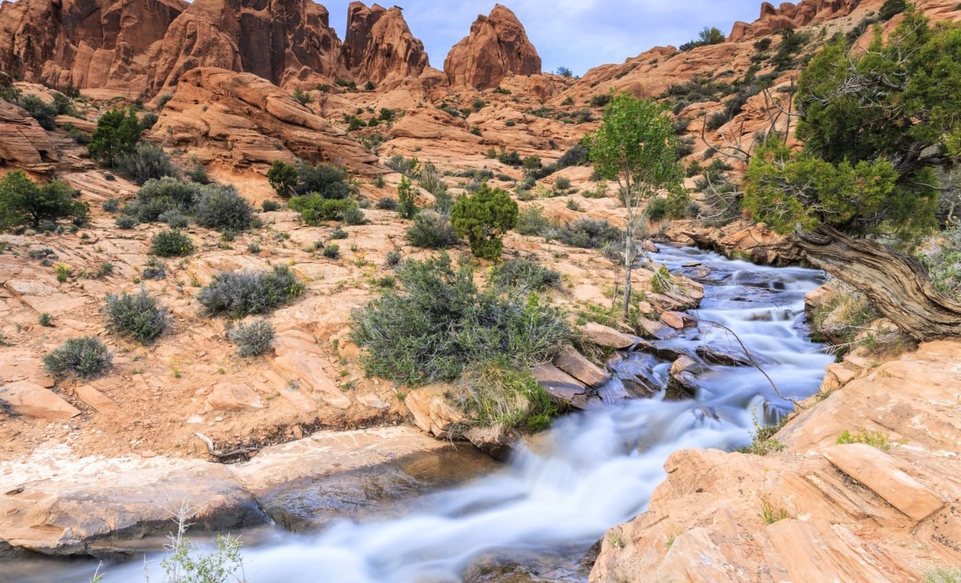 Fish in drylands show early warning signs of climate stress